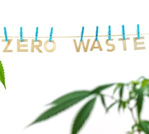 Hemp is eco friendly, zero waste